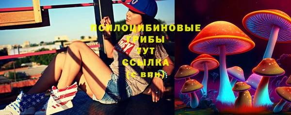 PSILOCYBIN Коряжма