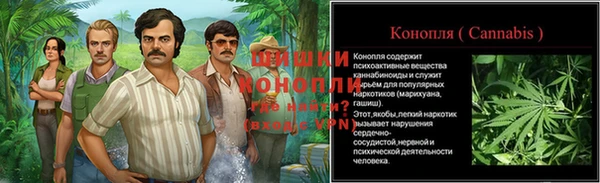 apvp Козельск
