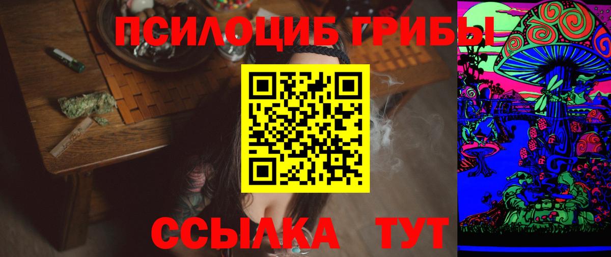 Галлюциногенные грибы Psilocybine cubensis  Вход с VPN  купить   Кириши 
